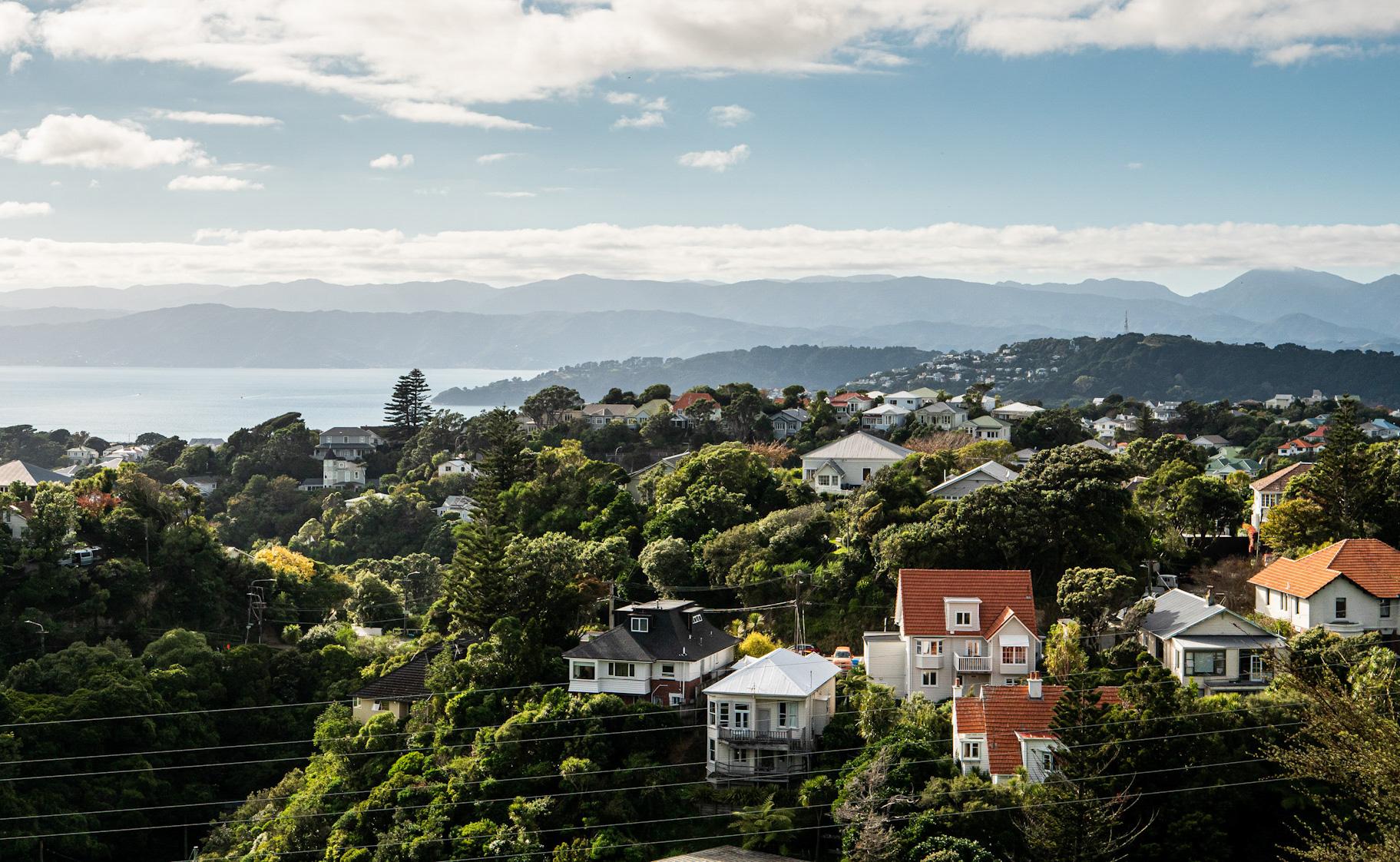 OCR Decision Brings Clarity to a Market Finding Its Footing